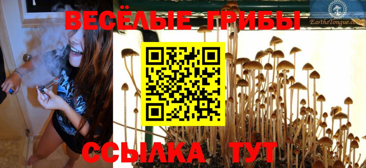Сергиев Посад  Псилоцибиновые грибы Psilocybe  купить наркоту  Вход с VPN 